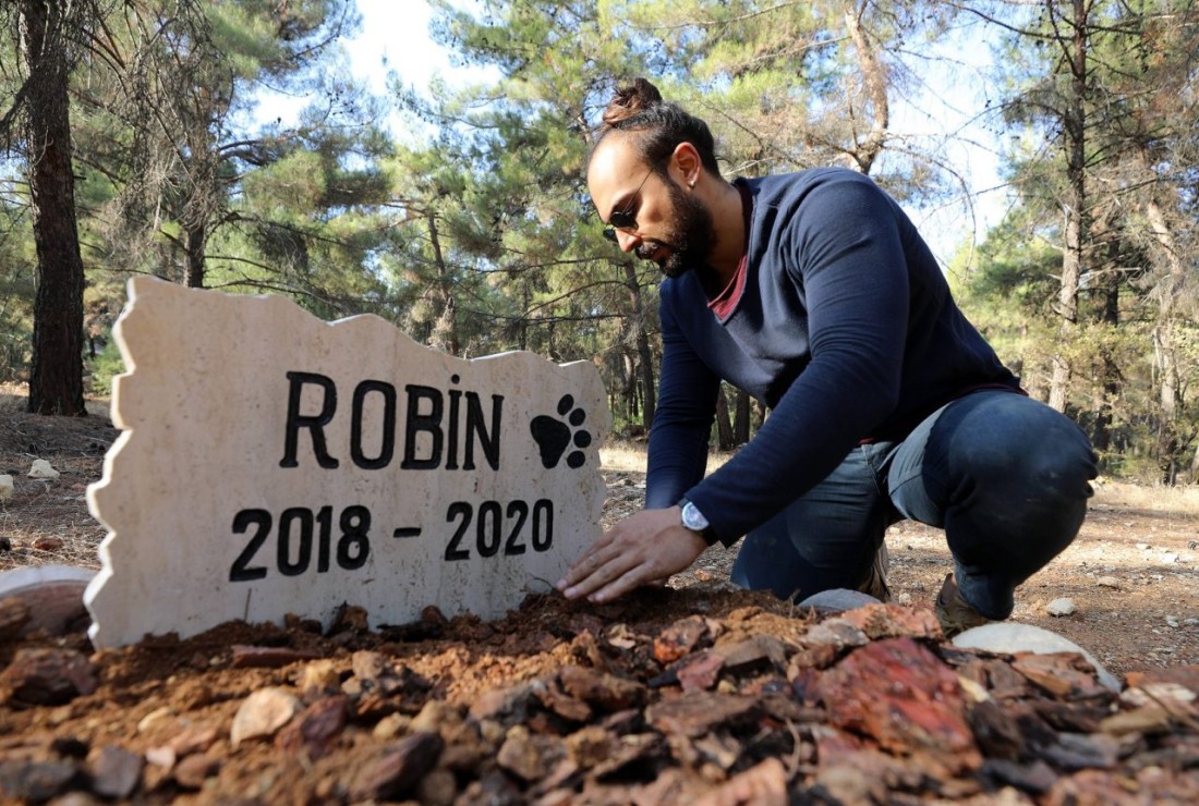 Üniversite kampüsüne ölen köpeği için mezar yaptırdı
