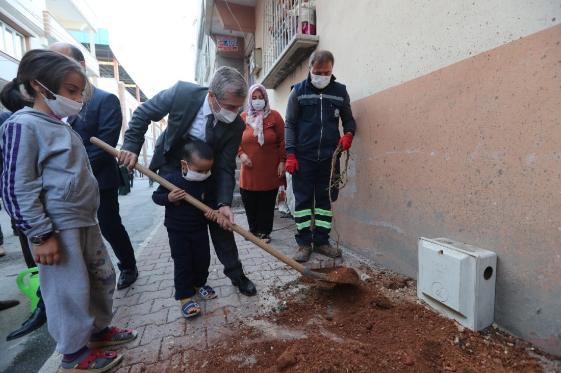 Şahinbey daha yeşil olacak