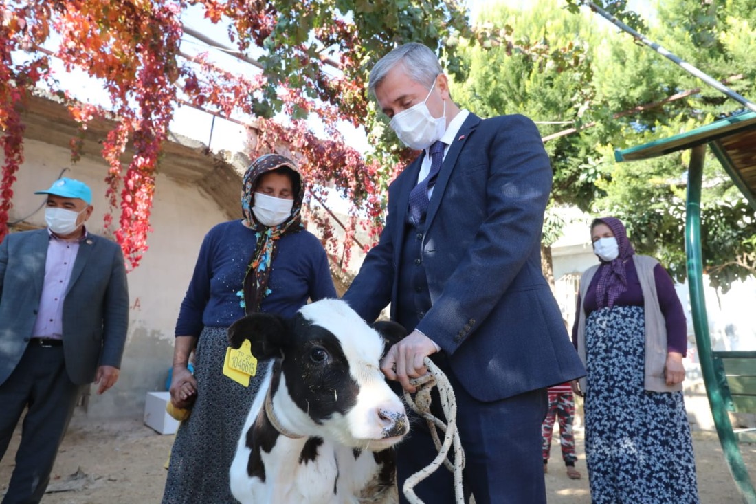 Şahinbey Belediyesi’nden hayvan yetiştiricilerine destek