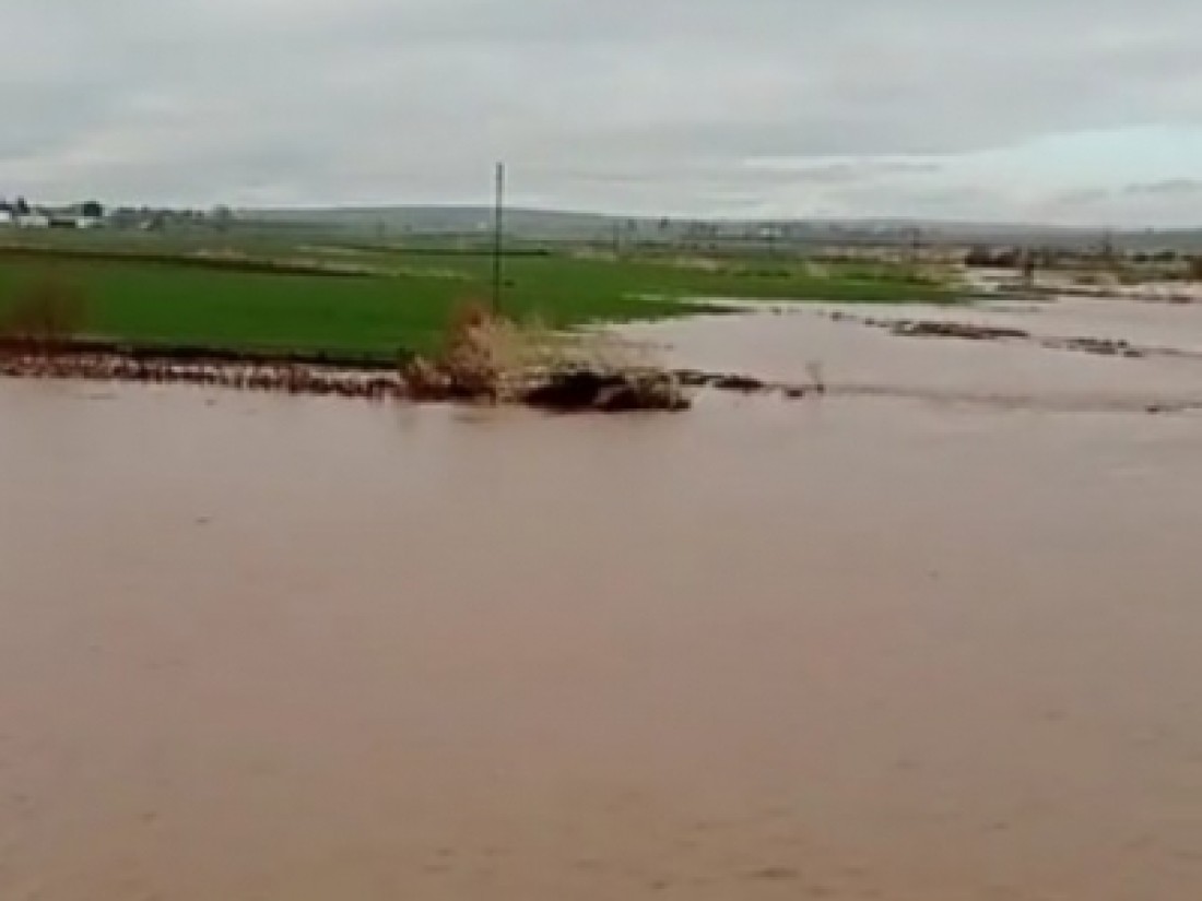 Tarlaları su bastı, çiftçiler perişan oldu