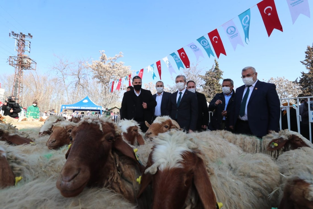 Hayvan yetiştiricilerinin yüzü Şahinbey Belediyesi ile gülüyor