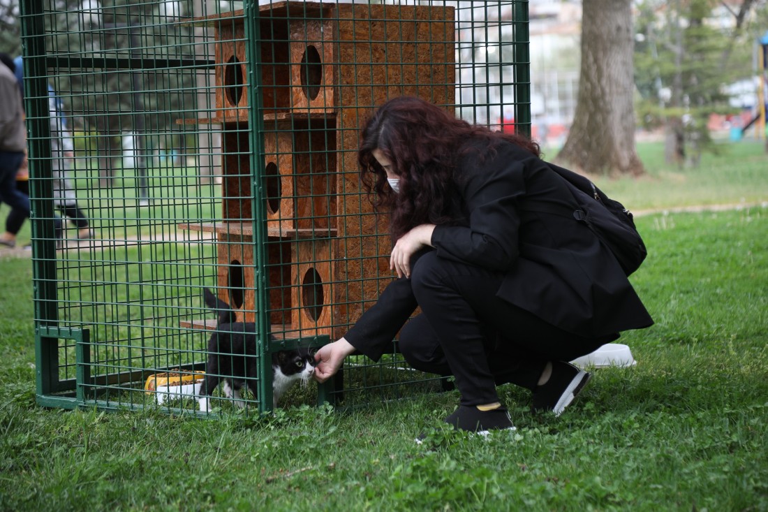 Büyükşehir Belediyesi yeni kedi evleri kurdu