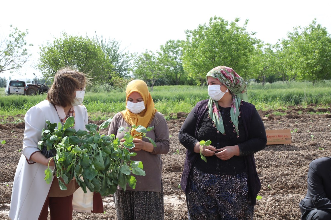 Fatma Şahin nar bahçelerinde üreticiyle buluştu