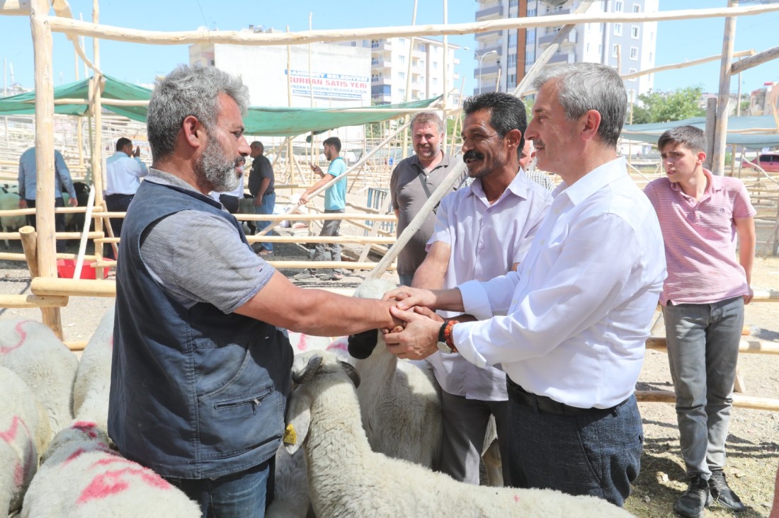 Şahinbey’de Kurban Satış Ve Kesim Yerleri Belirlendi