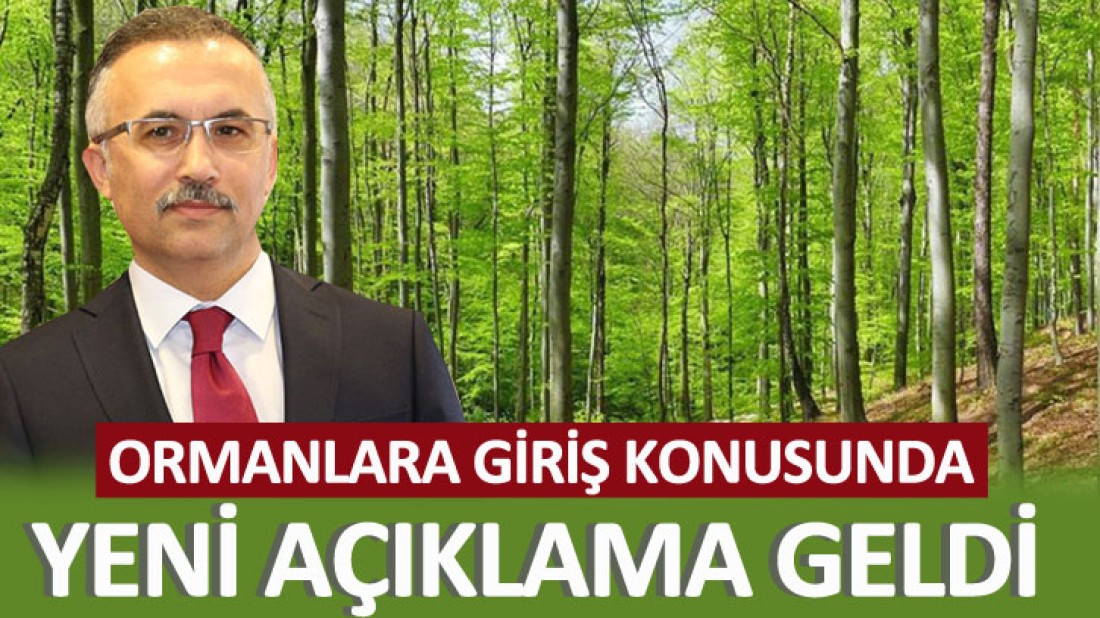 Ormanlara Giriş Konusunda Açıklama Geldi