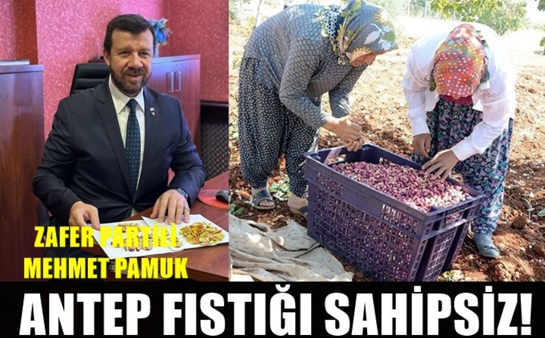 Zafer Partili Pamuk: Fıstık üreticisi sahipsiz!