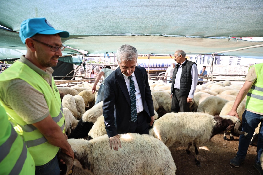 Başkan Tahmazoğlu Kurban Fiyatlarını Düşürdü